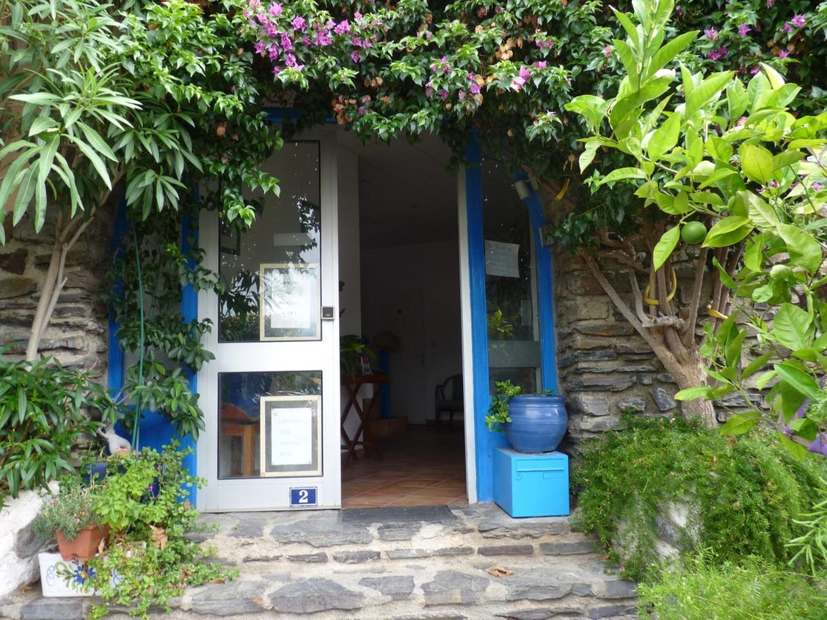 Ferienwohnung La Grande Bleue Banyuls-sur-Mer Exterior foto